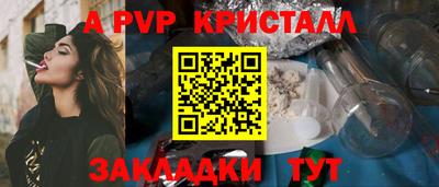 твердый Кингисепп