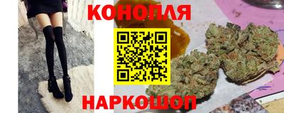 твердый Кингисепп