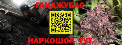 твердый Кингисепп