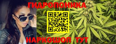 твердый Кингисепп