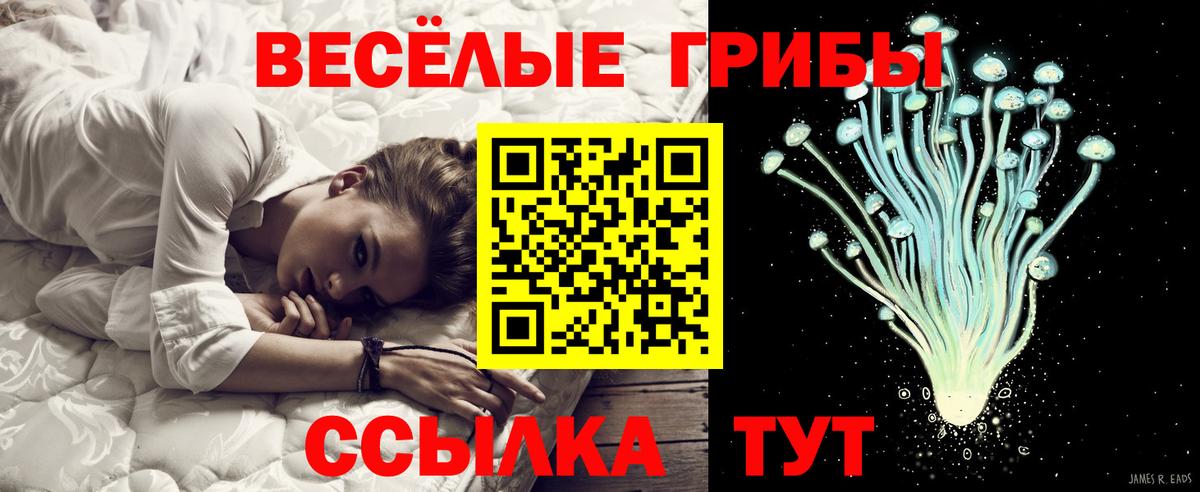 Псилоцибиновые грибы ЛСД Южноуральск