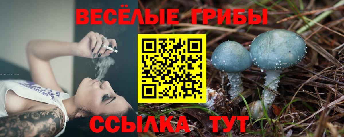 Южноуральск  Галлюциногенные грибы Psilocybe  Вход с VPN 